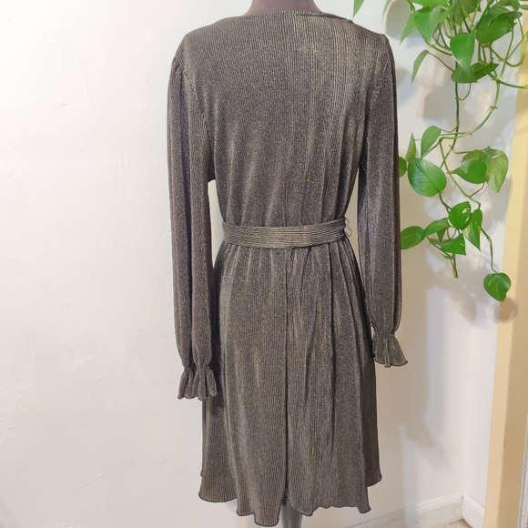 Chenault Long Sleeve Dress large - Picture 2 of 10